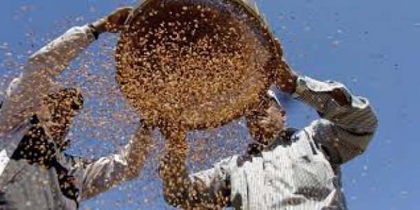 Просеивание